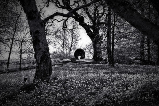 chup-anh-den-trang-nghe-thuat-voi-dramatic-black--white