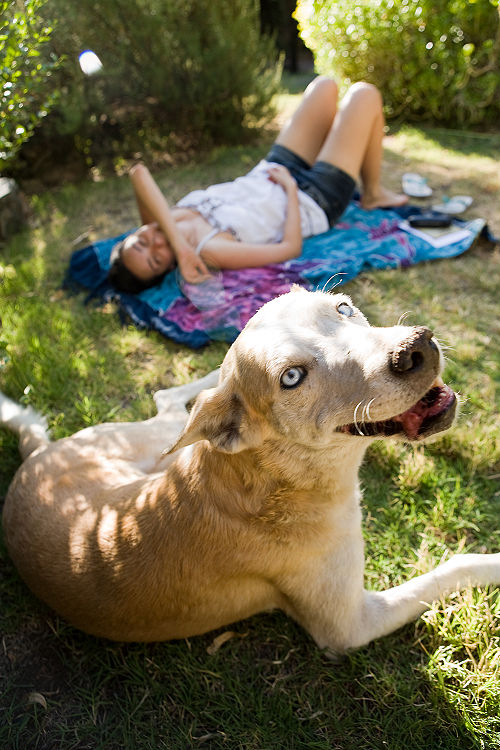 C&aacute;ch đơn giản để sống vui vẻ khi vẫn c&ograve;n FA 5