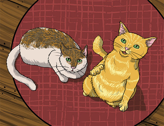 C&aacute;ch đơn giản để hiểu v&agrave; giao tiếp với lo&agrave;i m&egrave;o 1