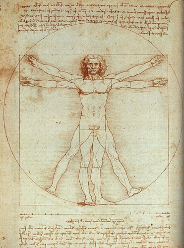 Bức vẽ "Người Vitruvius" của Leonardo da Vinci là ý tưởng "đạo"? 1