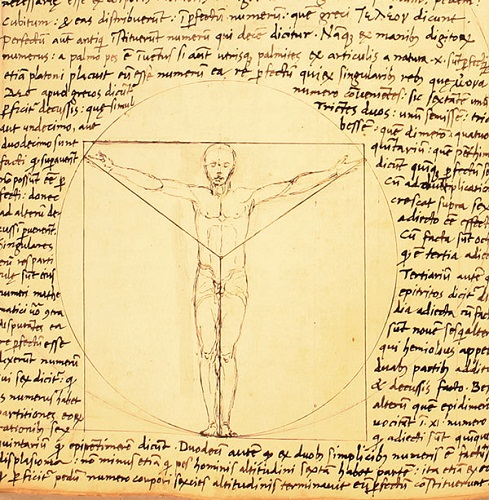 Bức vẽ "Người Vitruvius" của Leonardo da Vinci là ý tưởng "đạo"? 2
