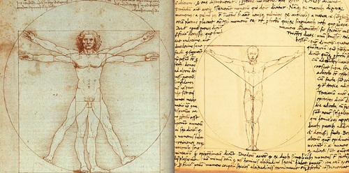 Bức vẽ "Người Vitruvius" của Leonardo da Vinci là ý tưởng "đạo"? 3
