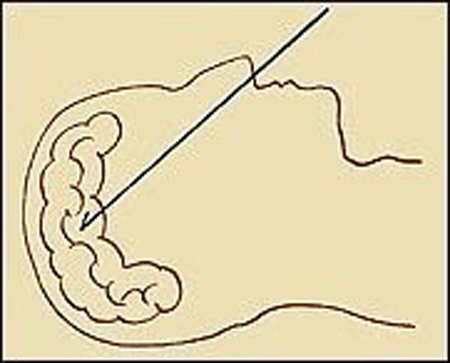 Khám phá quy trình ướp xác bí ẩn của người Ai Cập cổ đại 3 Khám phá quy trình ướp xác bí ẩn của người Ai Cập cổ đại 3