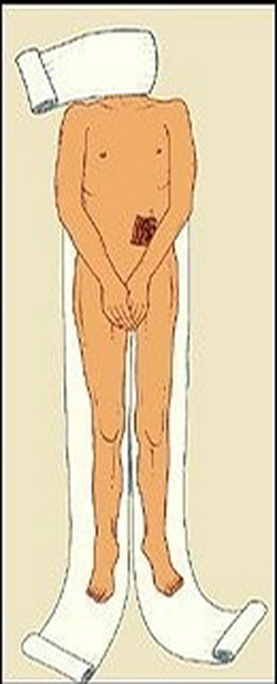 Khám phá quy trình ướp xác bí ẩn của người Ai Cập cổ đại 6 Khám phá quy trình ướp xác bí ẩn của người Ai Cập cổ đại 6