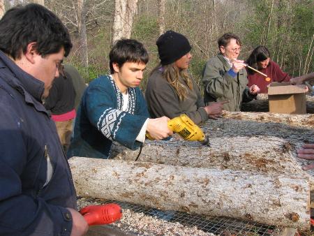 Tìm hiểu về các loại nấm kỳ lạ trong ẩm thực Nhật Bản (Phần 1) 7 Tìm hiểu về các loại nấm kỳ lạ trong ẩm thực Nhật Bản (Phần 1) 7