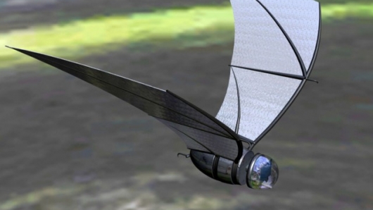 robot-mo-phong-hinh-dang-loai-ca-ngu