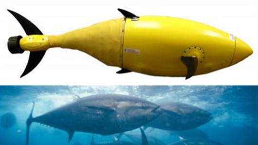 robot-mo-phong-hinh-dang-loai-ca-ngu robot-mo-phong-hinh-dang-loai-ca-ngu