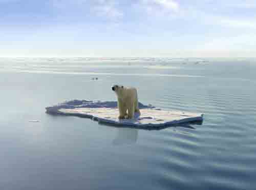 nhung-dau-hieu-cua-mot-thoi-ky-dai-tuyet-chung-moi