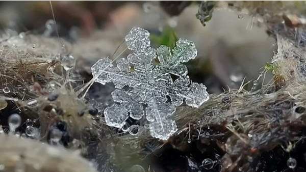 100 bức ảnh đ&aacute;ng kinh ngạc nhất năm 2012 (Phần 2) 6