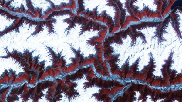 100 bức ảnh đ&aacute;ng kinh ngạc nhất năm 2012 (Phần 2) 17