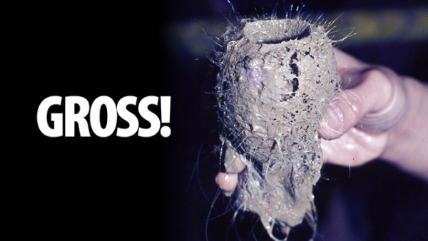 100 bức ảnh đ&aacute;ng kinh ngạc nhất năm 2012 (Phần 2) 19