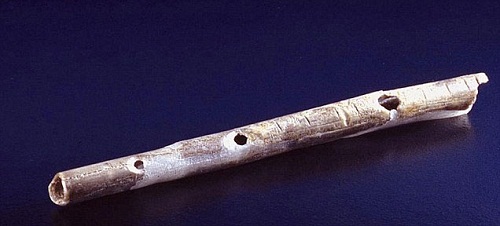 Lộ diện nhạc cụ lâu đời nhất thế giới 2