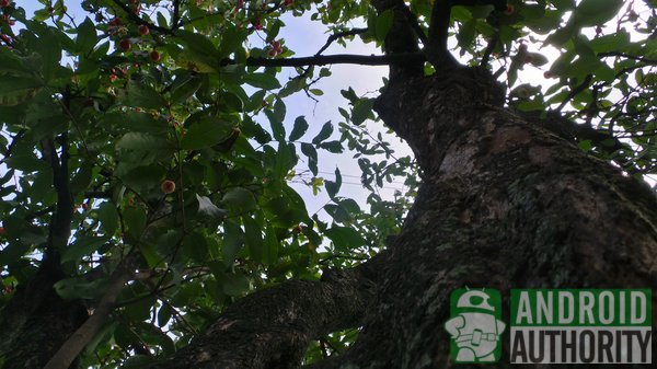 Kh&aacute;m ph&aacute; t&iacute;nh năng chụp HDR tr&ecirc;n Android 5