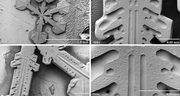 Chiêm ngưỡng hình ảnh bông tuyết dưới kính hiển vi điện tử 4