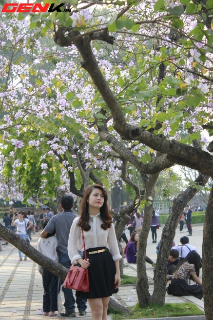 Những địa điểm chụp hoa tuyệt đẹp ở Hà Nội trong tháng Ba 10