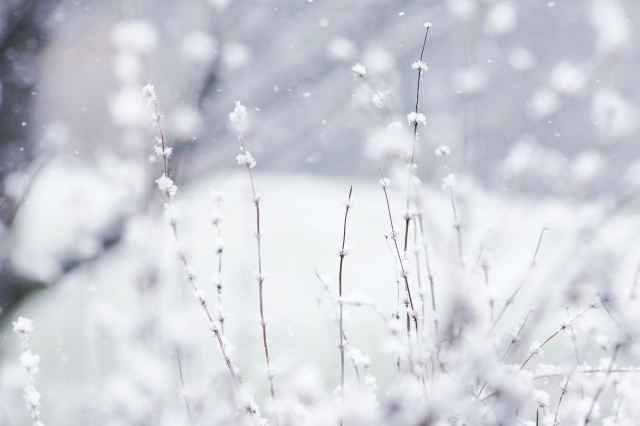 Hình Nền Tuyết Rơi Cảnh Tải Về Miễn Phí Hình ảnh lấp lánh tuyết trắng  mùa Sáng Tạo Từ Lovepik