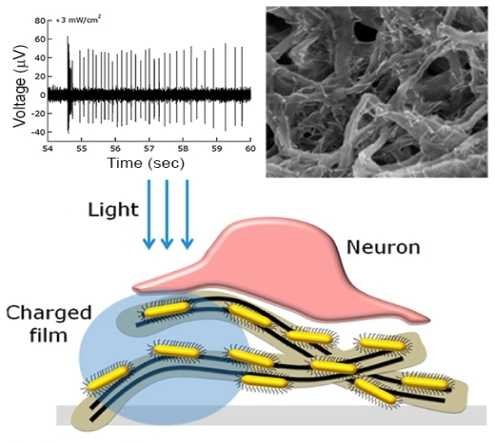 A carbon nanotube-semiconductor nanocrystal film attached to the retina stimulates neurons...