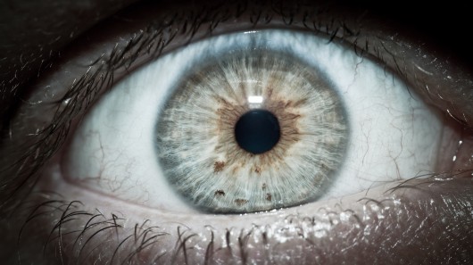Damaged or defective retinas may someday be replaced by a nanotube film that transforms li...