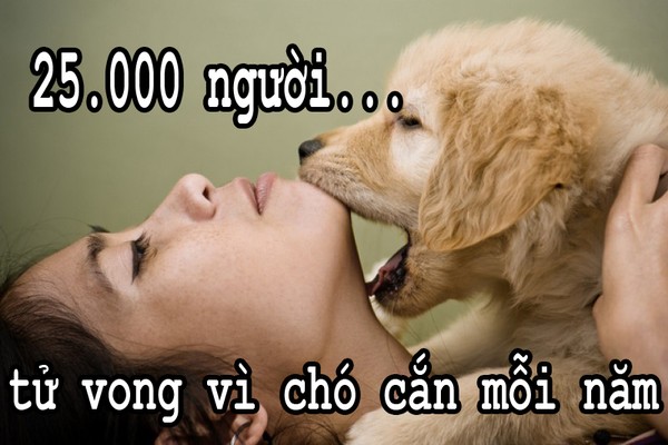 Fun fact giật mình về các nguyên nhân khiến con người chết oan 9