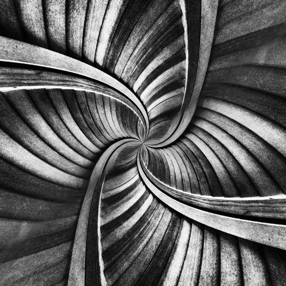 iPhone Photos Symmetry 5