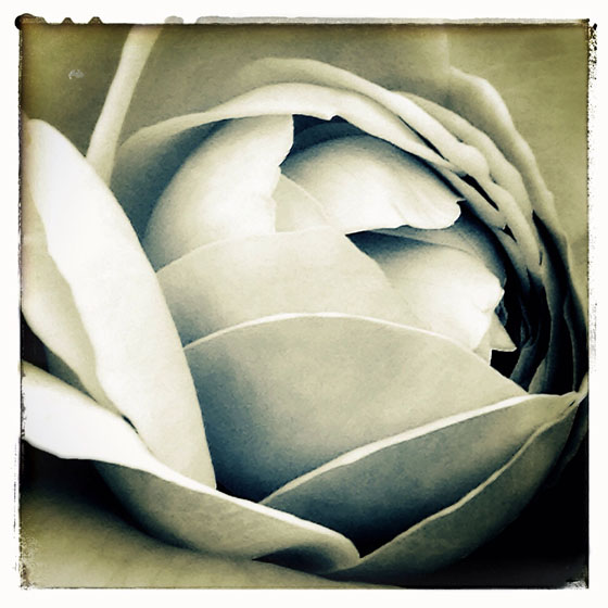 Good iPhone Composition 7