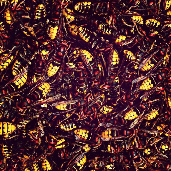 iPhone Abstract Photos 16