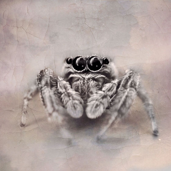 iPhone Photos Low Angle 17