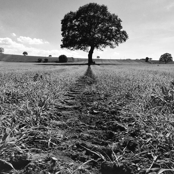 Good iPhone Composition 23