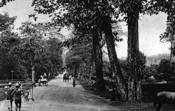 Before: Orchard Road