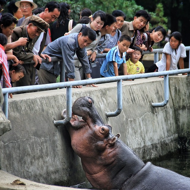 Người dân Triều Tiên tại sở thú