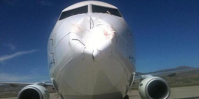 Điều gì xảy ra khi một đàn chim chạm một đầu máy bay tại