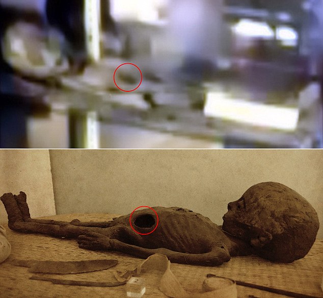 Many have compared the images to previous photos of mummies from the Smithsonian. Pictured is a Roman child mummy (bottom) with opening ringed compared to Roswell slide (top)