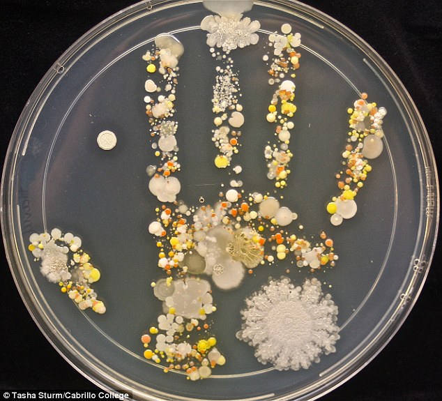 Một hình ảnh của các vi khuẩn sống trên bàn tay của một đứa trẻ đã cho thấy chỉ có bao nhiêu vi khuẩn, chúng tôi nhận mỗi ngày
