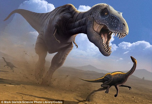 The top speed of a T-Rex is 18mph (29km/h), while Usain Bolt can reach 27.5mph (44km/h), meaning he could easily outrun it - over a short distance at least. This artists illustration shows a Tyrannosaurus rex, which lived between 85 and 65 million years ago, hunting an Ornithomimus dinosaur