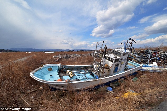 Four years after the nuclear meltdown the area is still affected by radiation 