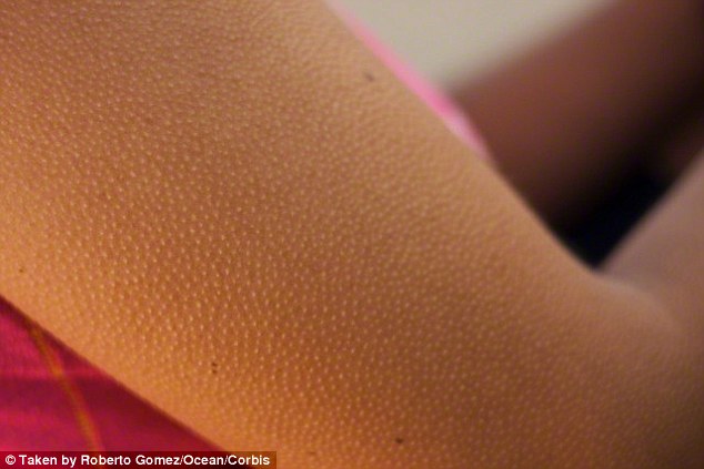 Music can trigger physical reactions like goosebumps (pictured above) in about 80 per cent of people, but a small number have an reaction so intense it has been described as a skin orgasm. Psychologists say these people report physical sensations such a s trembling, sweating and pleasure all over their bodies