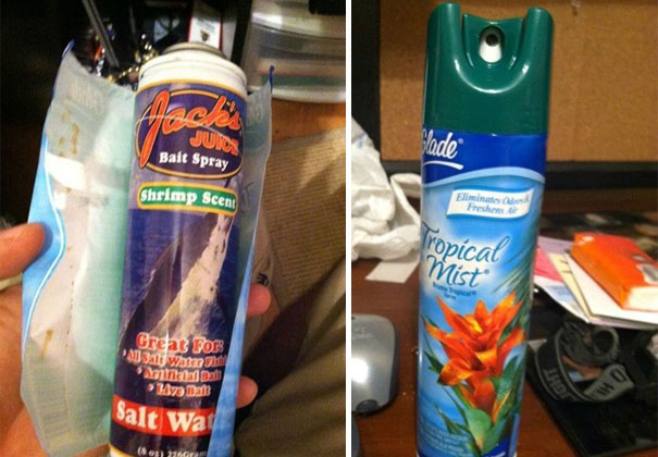 Replace Air Freshener With Shrimp Scent