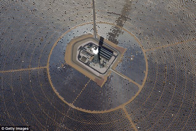 The $2.2 billion Ivanpah Solar Electric Generating System (pictured) part-owned by Googlle has been blamed for killing birds, which experts say are being scorched by its mighty mirrors