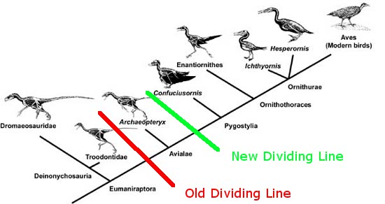 Quá trình tiến hóa từ khủng long thành loài chim ngày nay.
