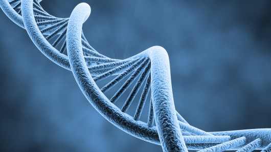 Cấu trúc xoắn của ADN