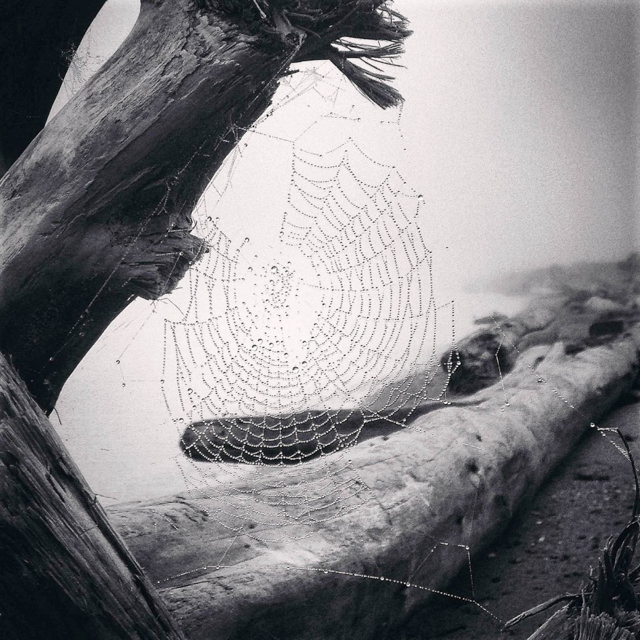 12. Chủ đề Thiên nhiên: ảnh chụp bởi Yvonne Naughton đến từ La Conner, Washington. 12. Chủ đề Thiên nhiên: ảnh chụp bởi Yvonne Naughton đến từ La Conner, Washington.