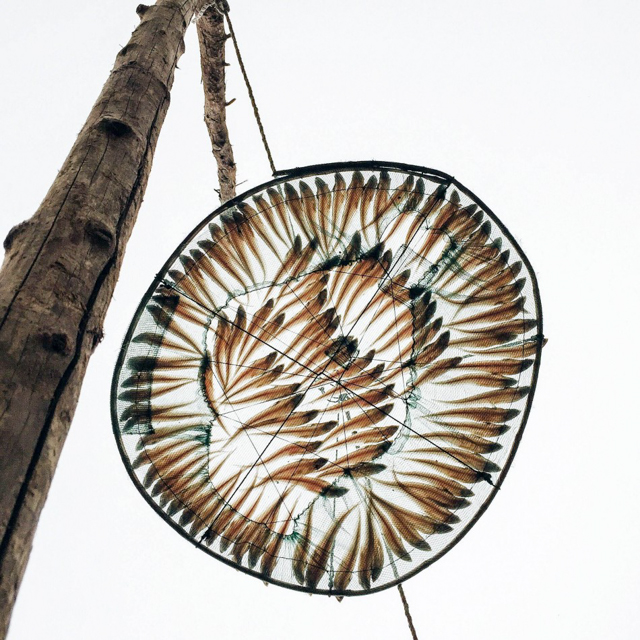 13. Chủ đề Ẩm thực: ảnh chụp bởi Xu Lin đến từ Trung Quốc. 13. Chủ đề Ẩm thực: ảnh chụp bởi Xu Lin đến từ Trung Quốc.