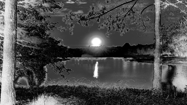 Mặt Trời lặn tại hồ Morton Arboretum, Illinois (Mỹ). Ảnh chụp bởi Raz Akhter bằng điện thoại Moto X.