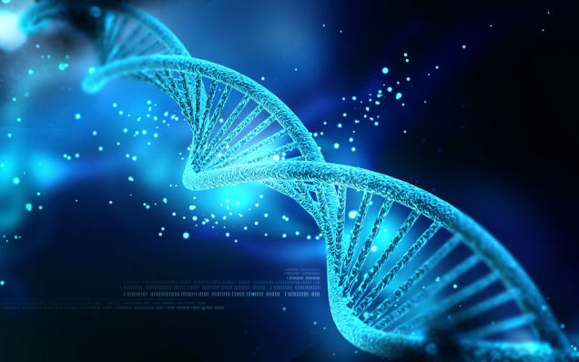 Lưu trữ dữ liệu trên các chuỗi DNA? Tại sao không?