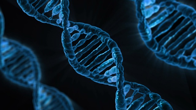 
DNA, câu trả lời cho ngành di truyền học

