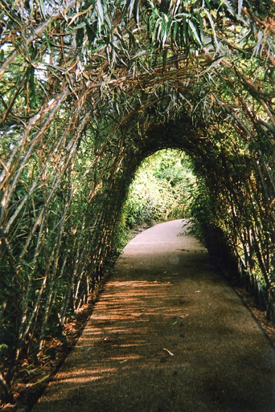 Đường hầm thiên nhiên hoặc Ánh sáng nơi cuối đường, Stratford - bởi Ellen Rostant.