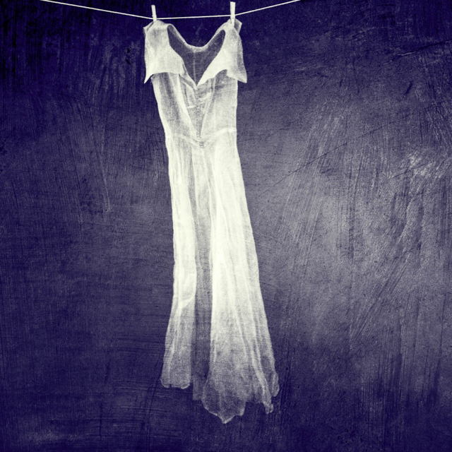 8. Chủ đề Tĩnh vật: ảnh chụp bởi Cindy Buske đến từ Lynnwood, Washington. 8. Chủ đề Tĩnh vật: ảnh chụp bởi Cindy Buske đến từ Lynnwood, Washington.