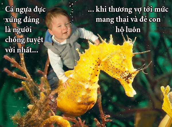 Fun fact về chuyện yêu đương 