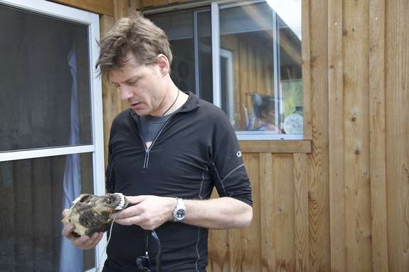 Alan Cooper đang cầm chiếc sọ của một con sói cổ ở Yukon, Canada.