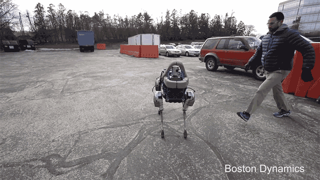 Chú robot này có khả năng giữ thăng bằng tuyệt vời.
